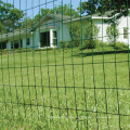 ISO Manufacturer 0.92x10m Square PVC Coated Wire Mesh Roll Galvanized Netting Garden Screen Fence or Aviary